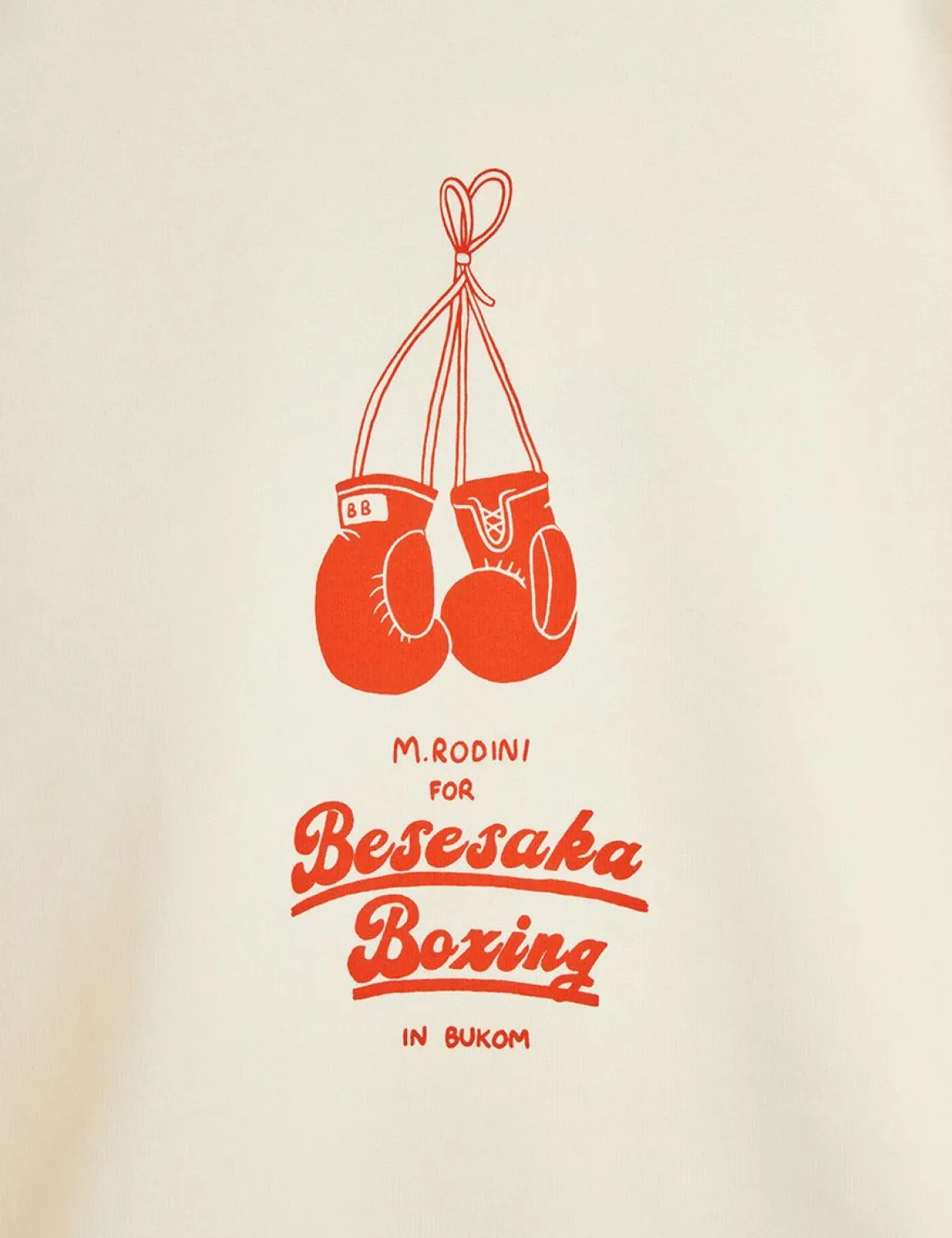 Besesaka Vuxen Sweatshirt