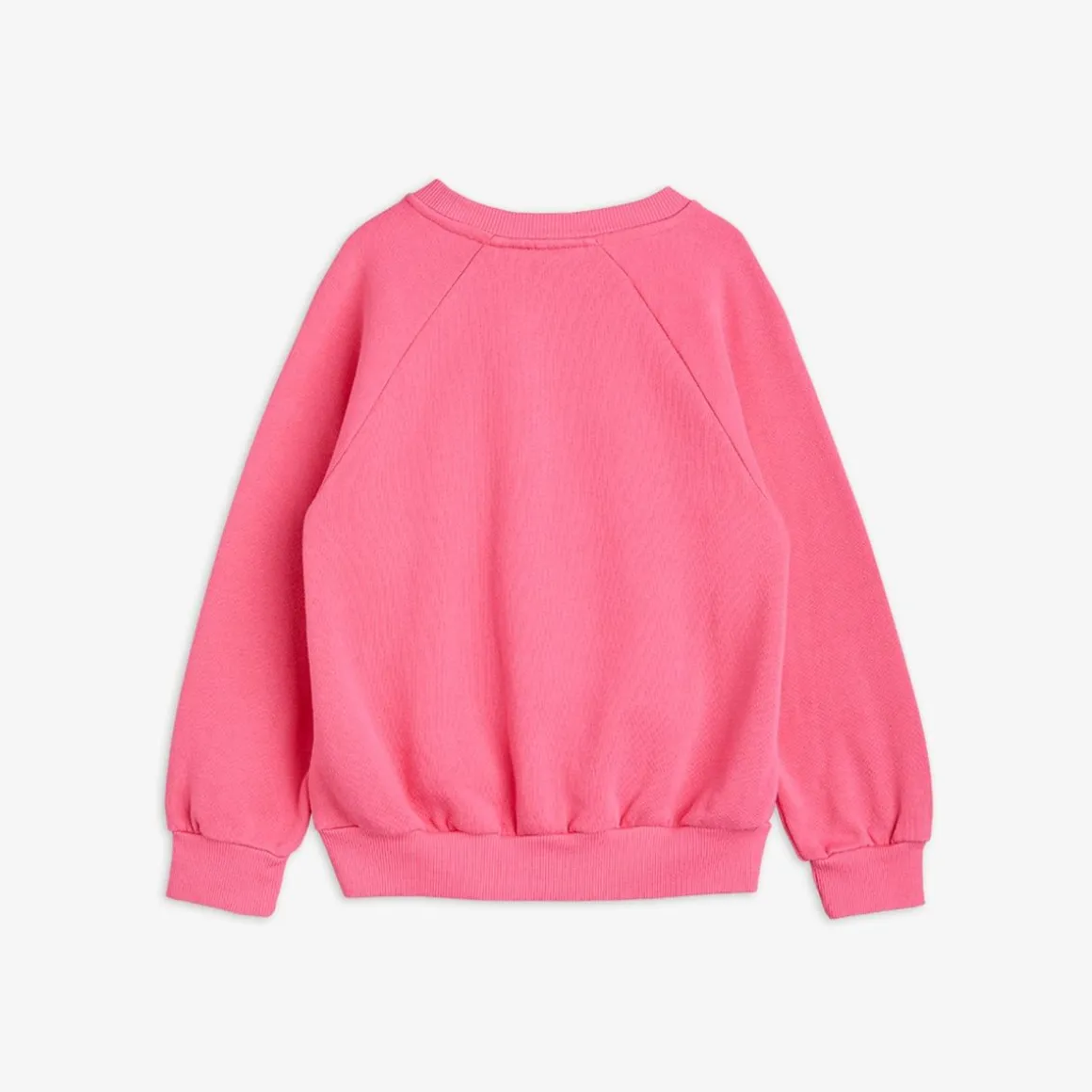 Dashing Dog Sweatshirt
