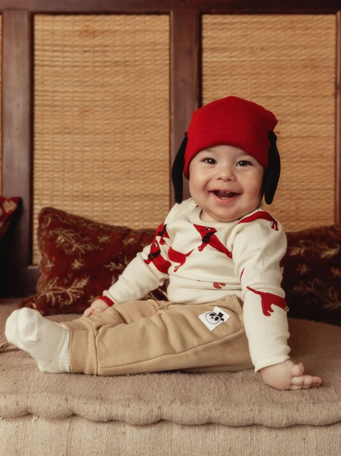 Dog baby set