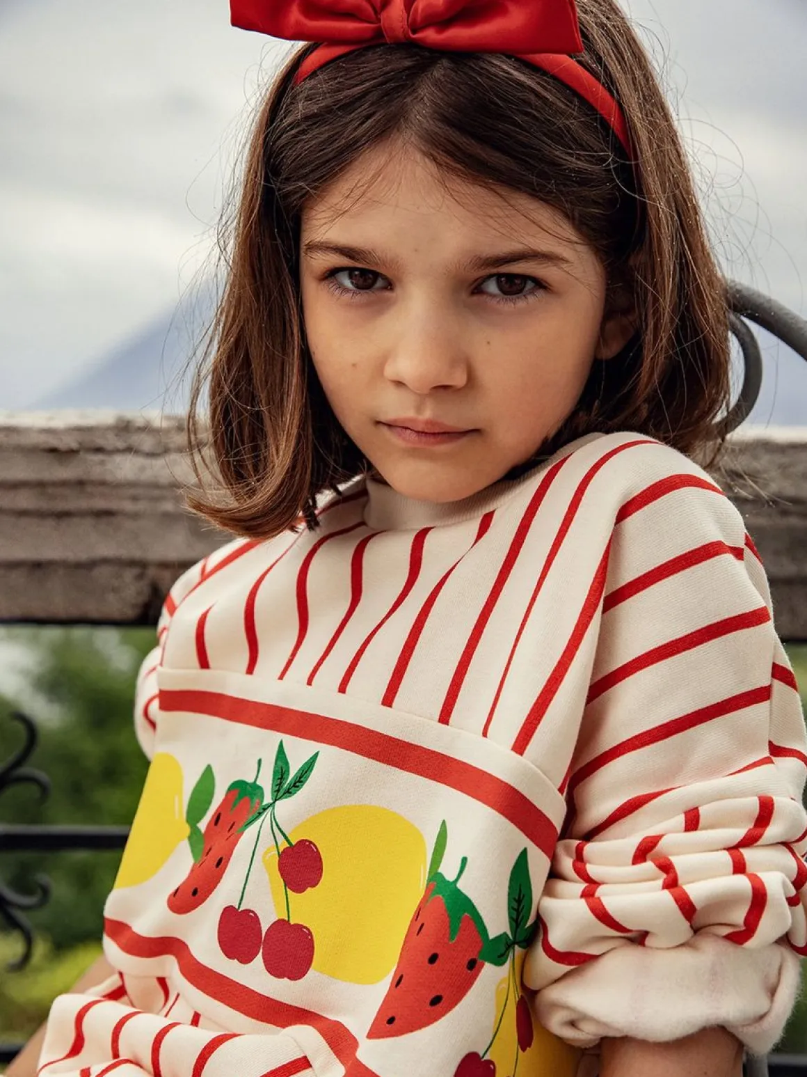 Fruits Stripe Sweatshirt