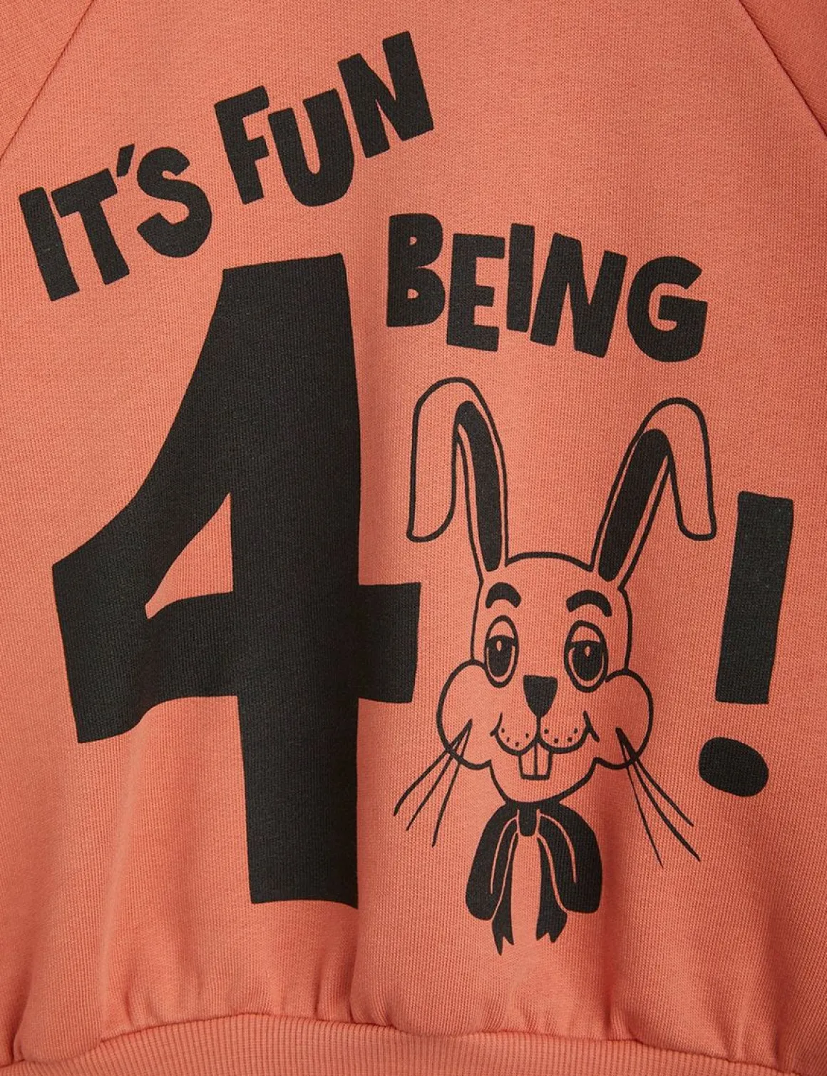It's Fun Being Four Sweatshirt