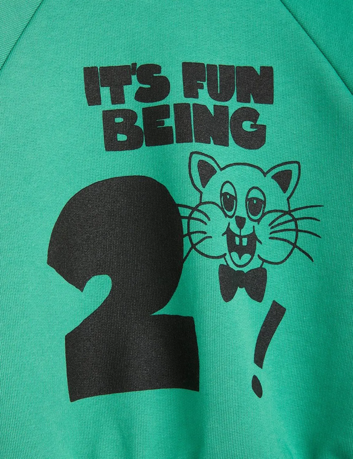 It's Fun Being Two Sweatshirt