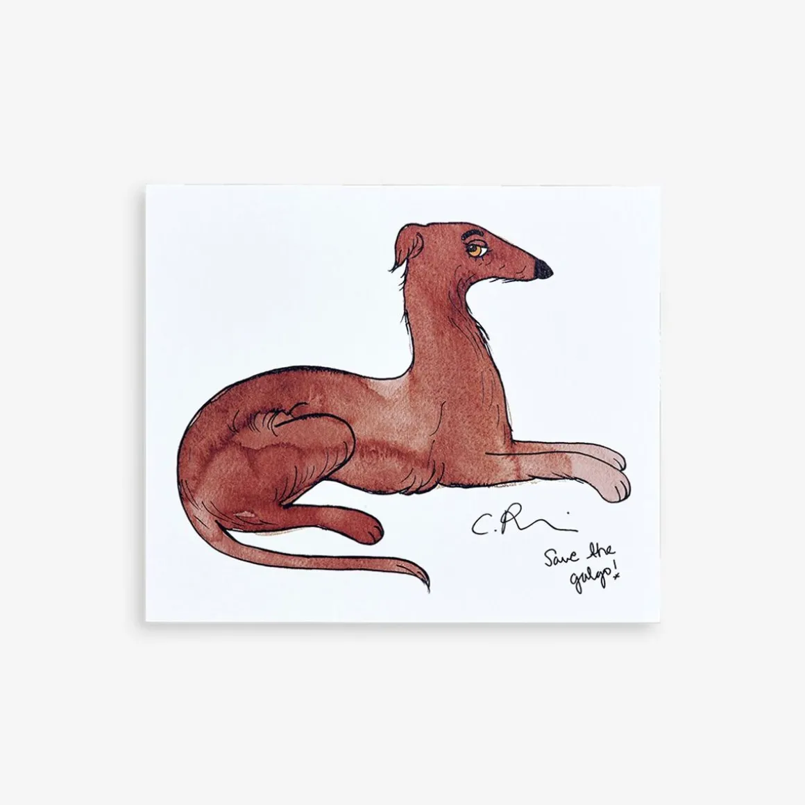 4-pack Wall Art Posters Save the Galgo