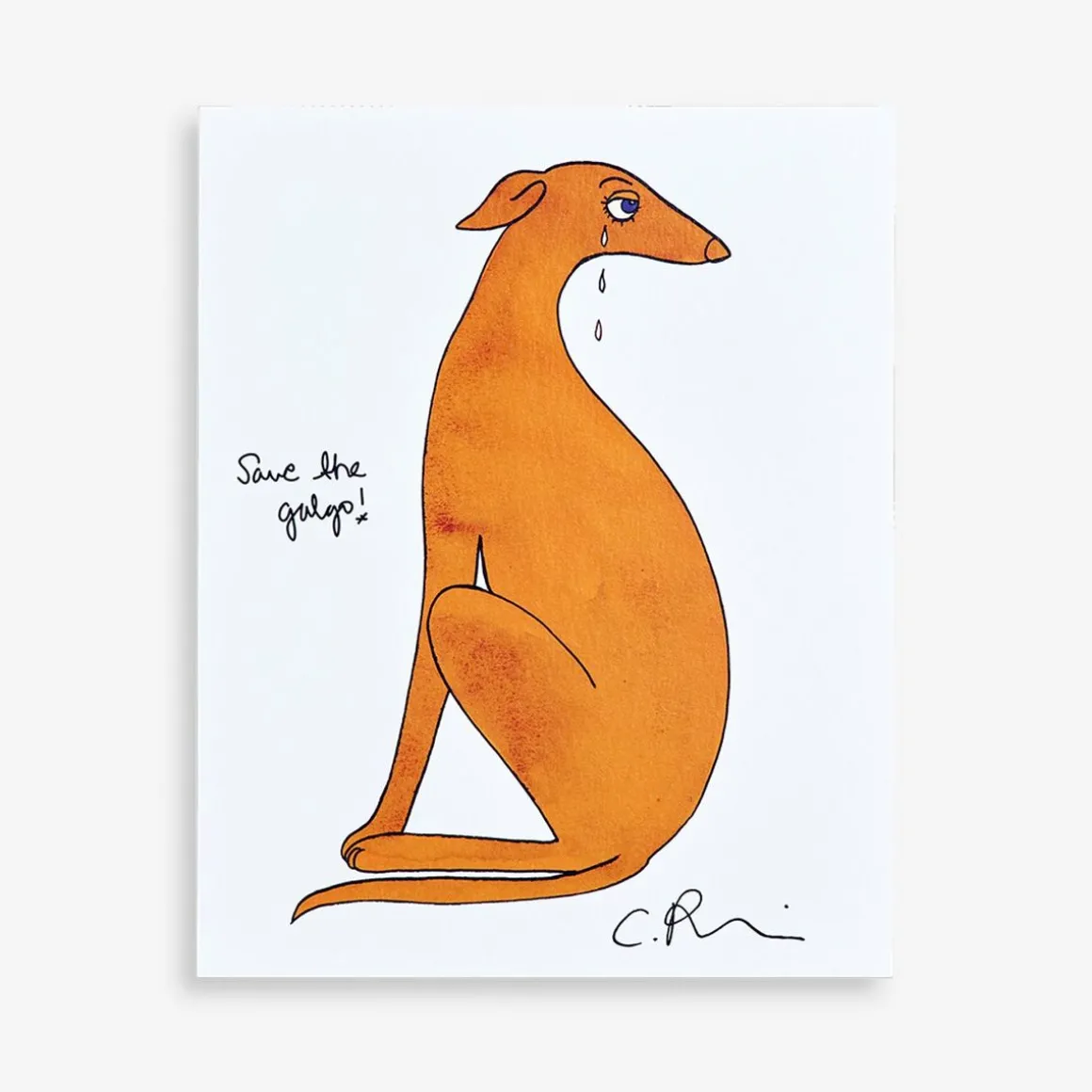 4-pack Wall Art Posters Save the Galgo